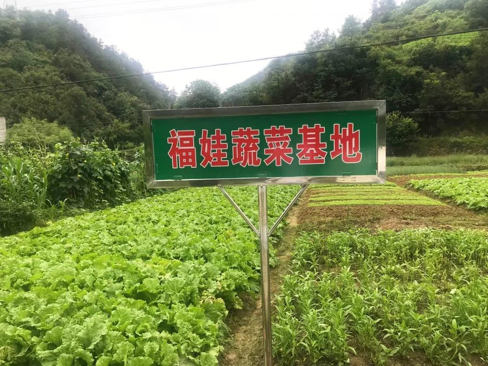 無公害基地