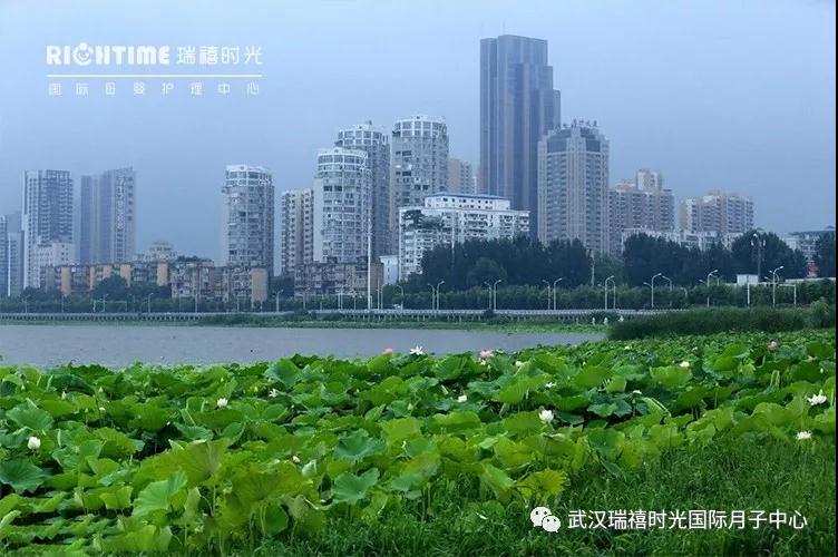 環境